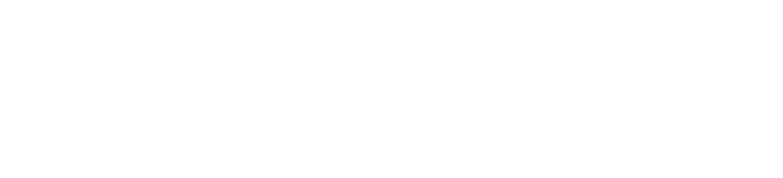 WDP Wyoming Democratic Party Logo in White