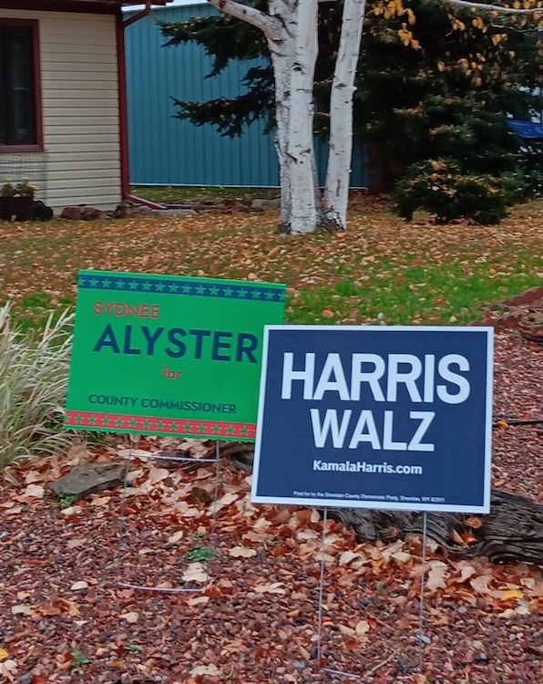 two political yard signs