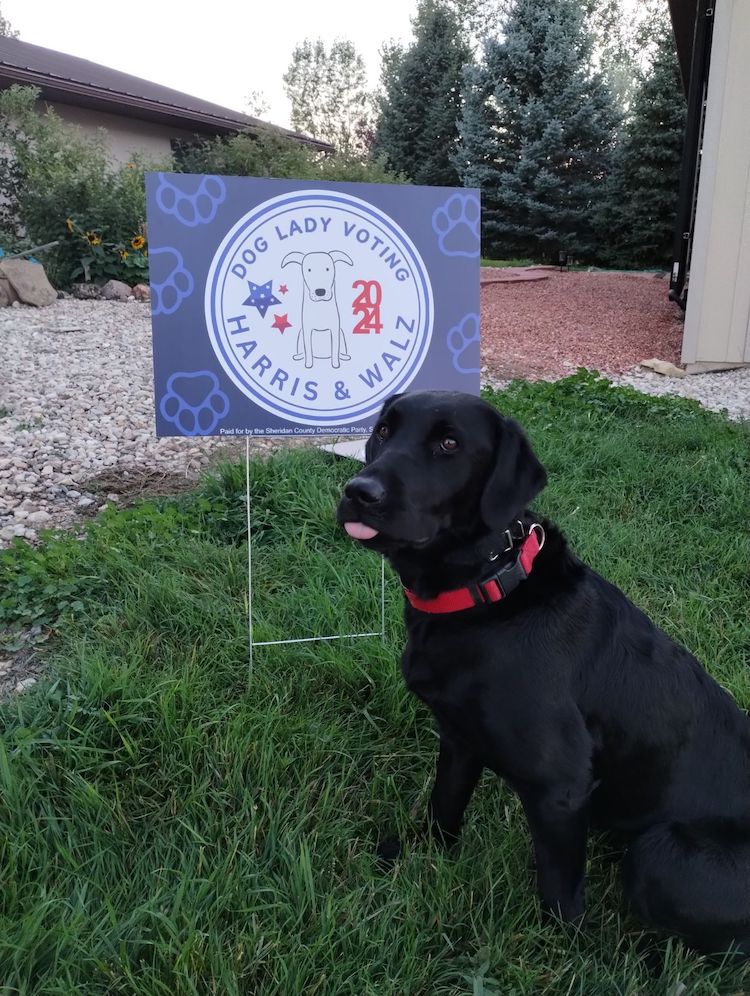 Dog sitting in front of a dog lady voting harris walz sign